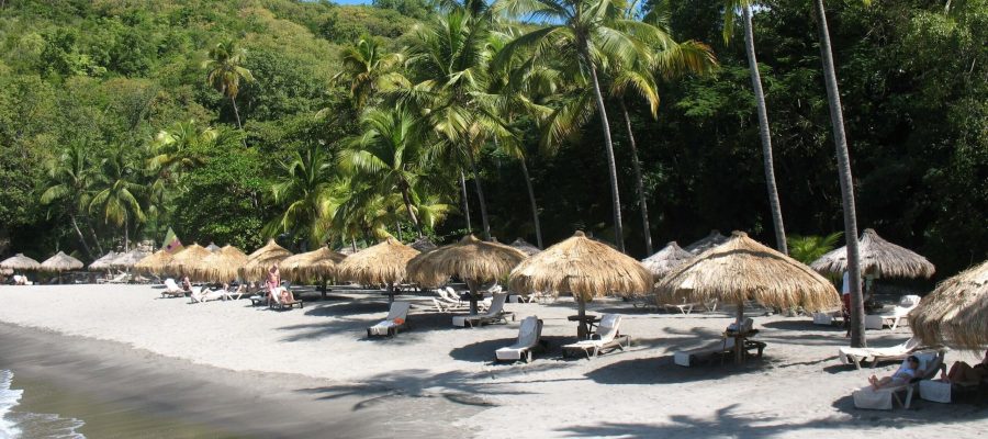 St Lucia Slide 8 (1)